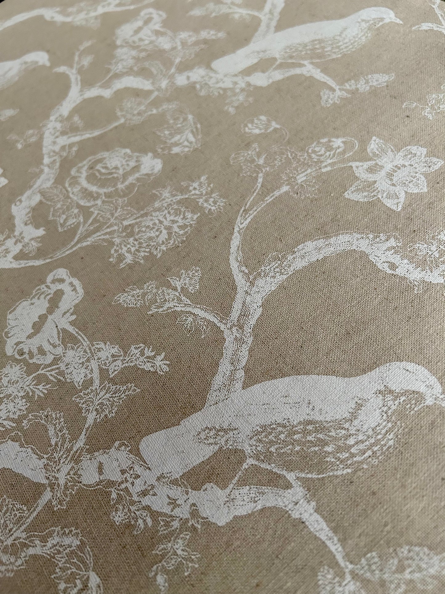 Birds and paisley placemats